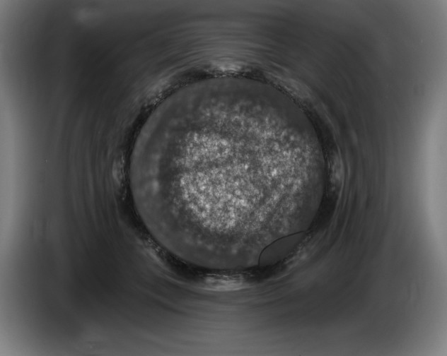 X0000085260559200703301835