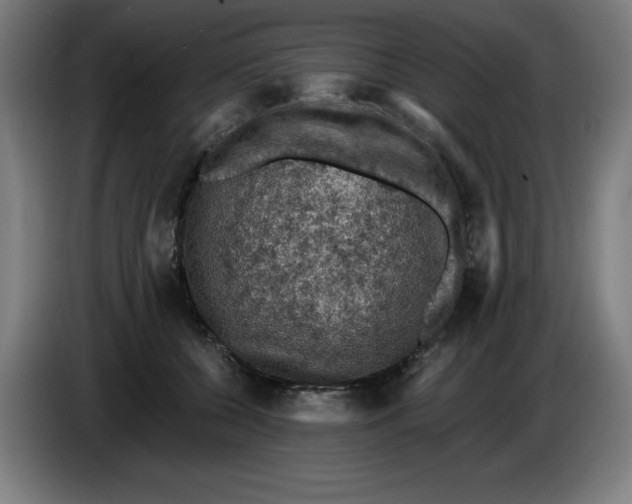 X0000085260560200703301835