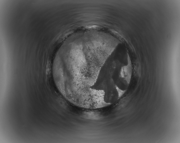 X0000085260561200703301835