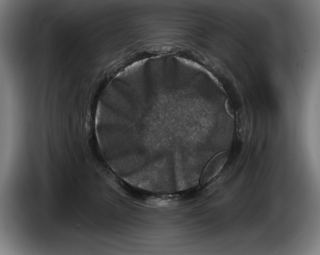 X0000085260563200703301835