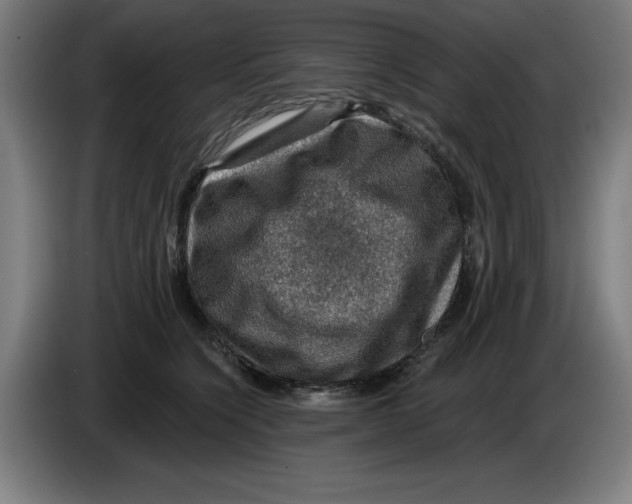 X0000085260564200703301835