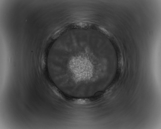 X0000085260566200703301835