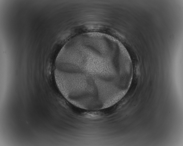 X0000085260567200703301835