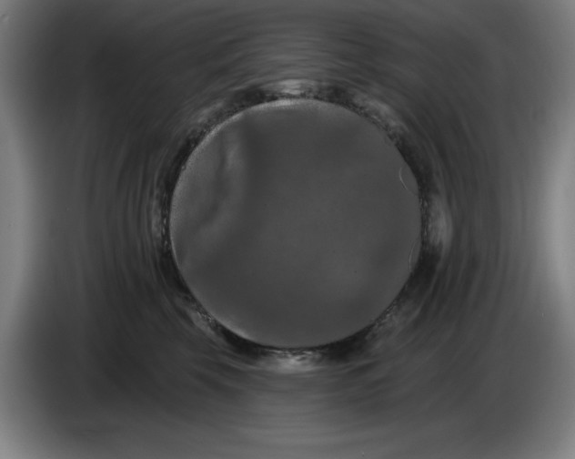 X0000085260569200703301835