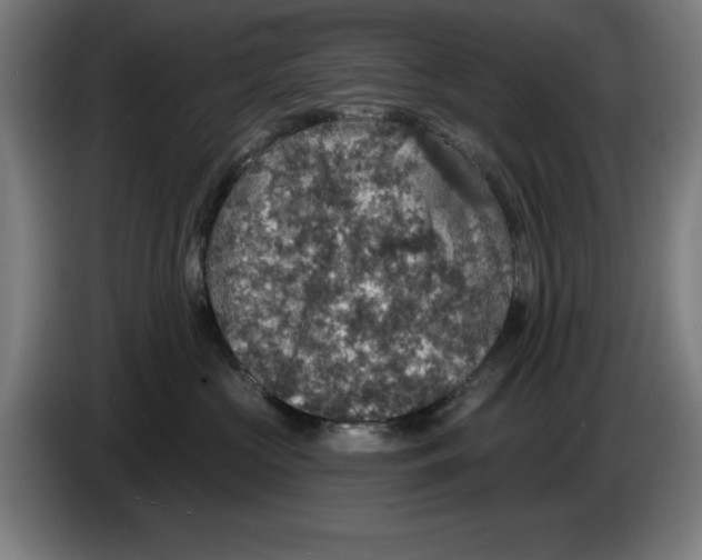 X0000085260573200703301835