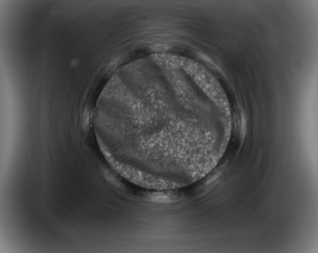 X0000085260574200703301835