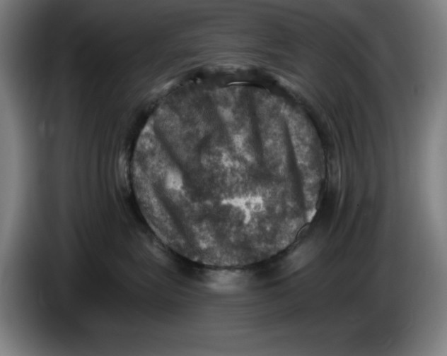 X0000085260575200703301835