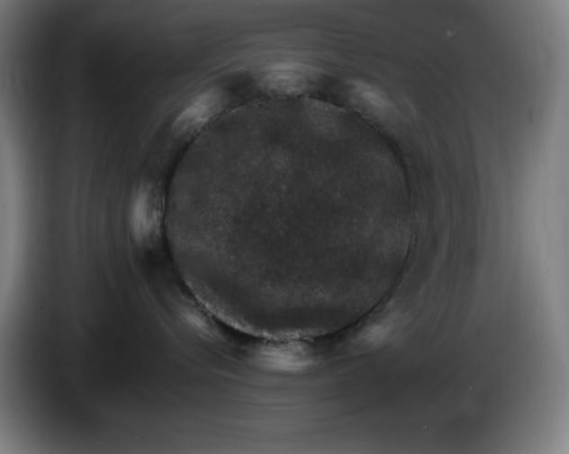 X0000085260576200703301835