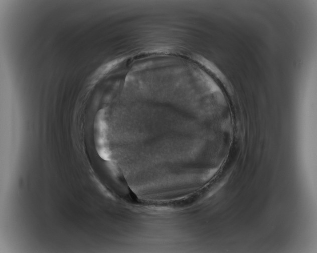 X0000085260577200703301834