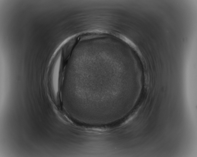 X0000085260580200703301834