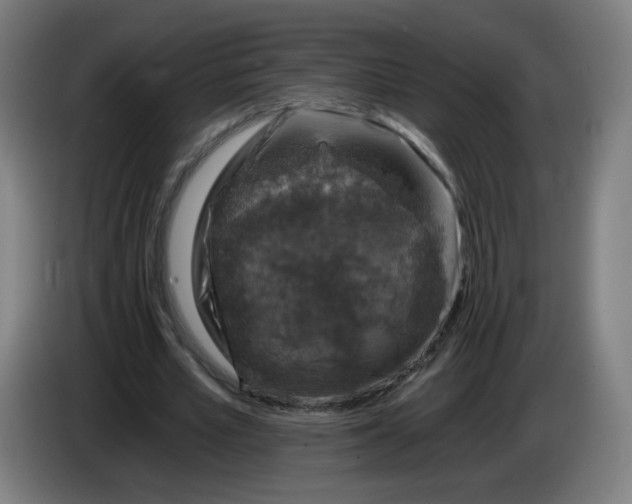 X0000085260581200703301834