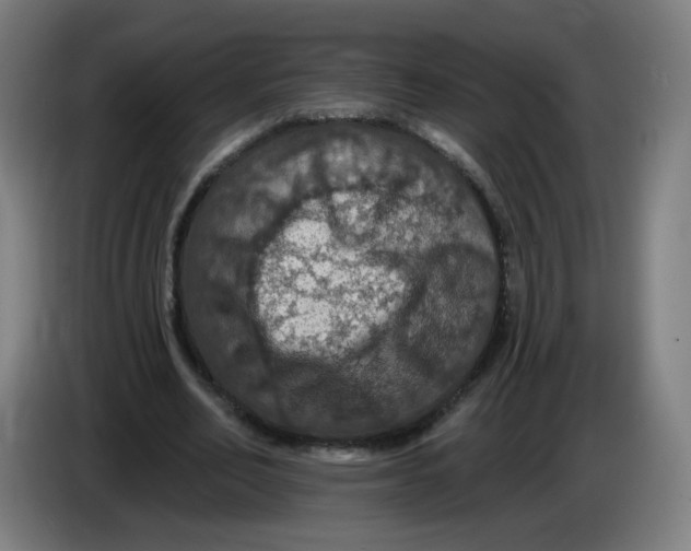 X0000085260582200703301834