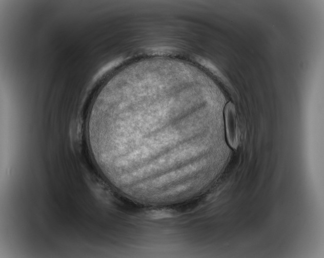 X0000085260583200703301834