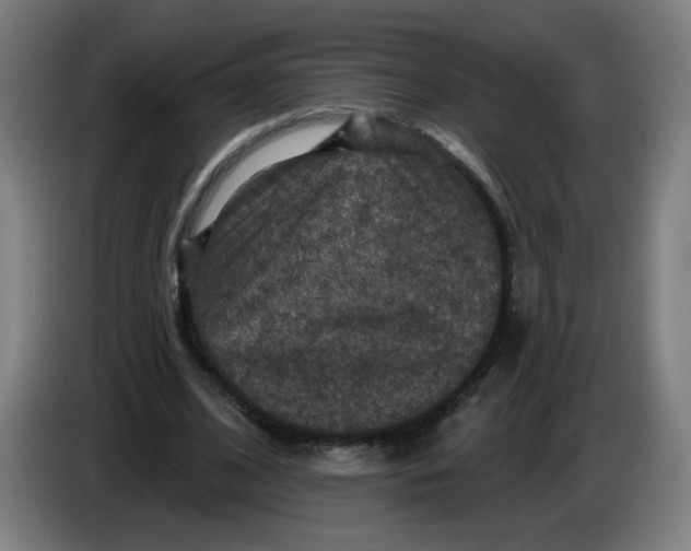 X0000085260584200703301834