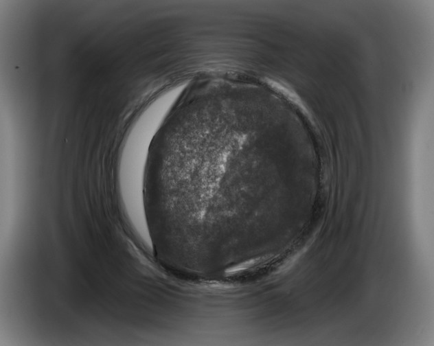 X0000085260585200703301834