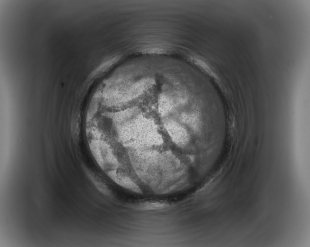 X0000085260586200703301834