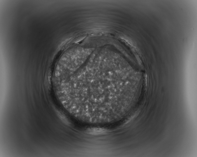 X0000085260590200703301834