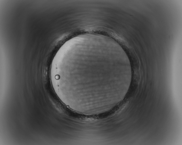 X0000085260592200703301834