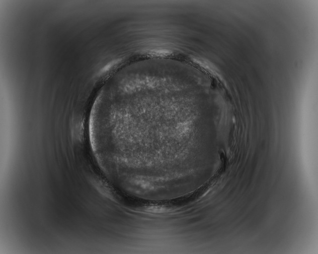 X0000085260596200703301834