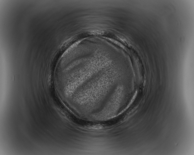 X0000085260600200703301834