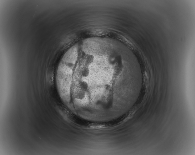 X0000085260602200703301834