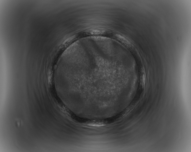 X0000085260604200703301834