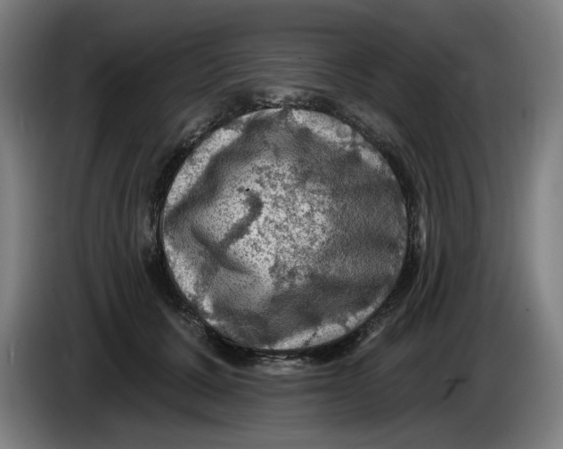 X0000085260607200703301834