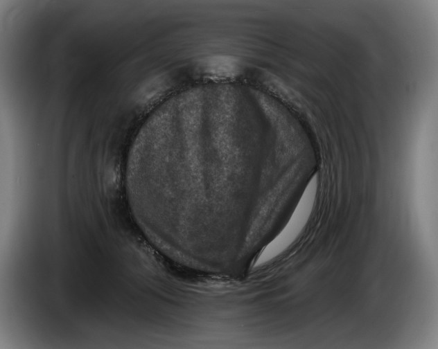 X0000085260608200703301834