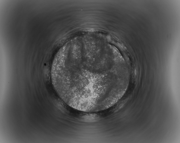 X0000085260609200703301834