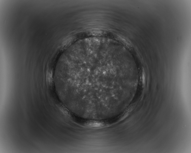 X0000085260610200703301834