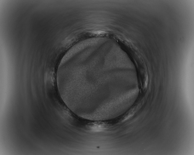 X0000085260612200703301834