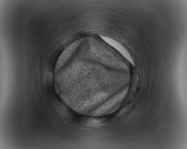 X0000085260613200703301834