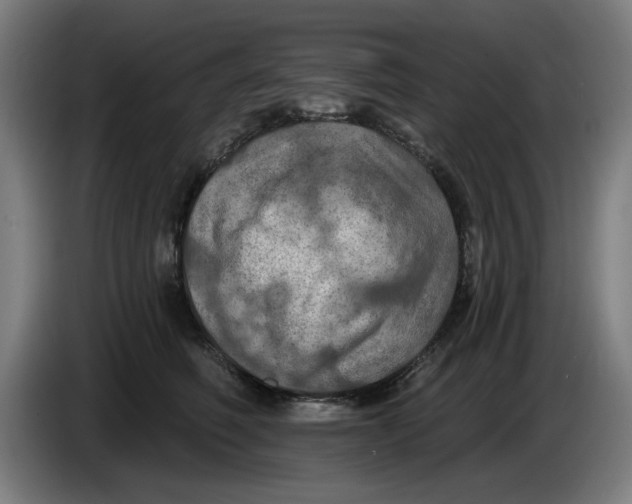 X0000085260614200703301834