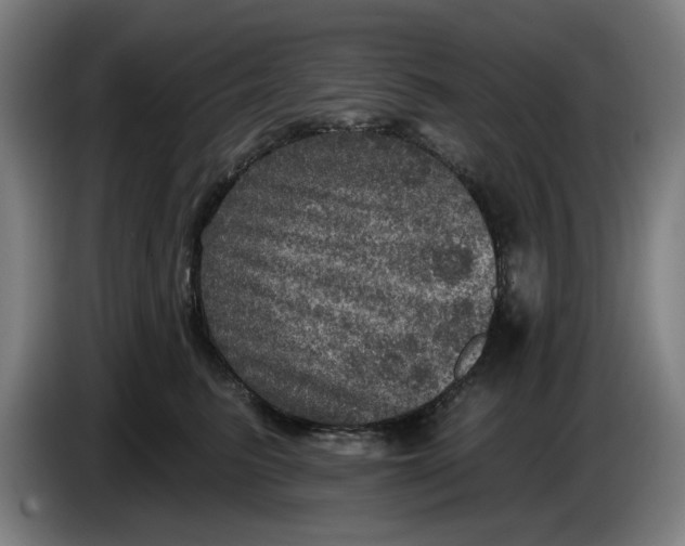 X0000085260615200703301834