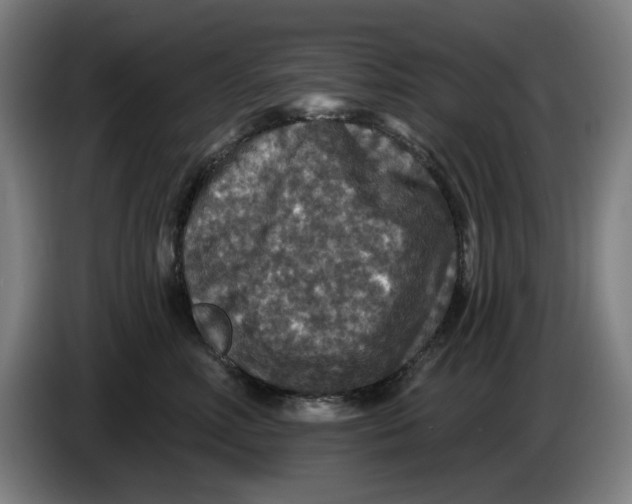 X0000085260618200703301834