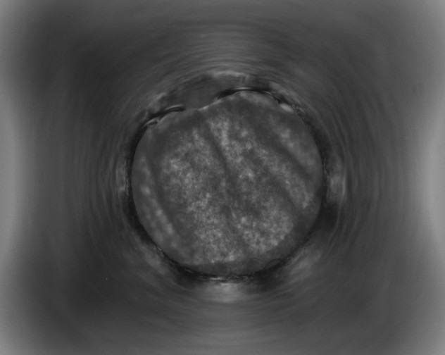 X0000085260620200703301834