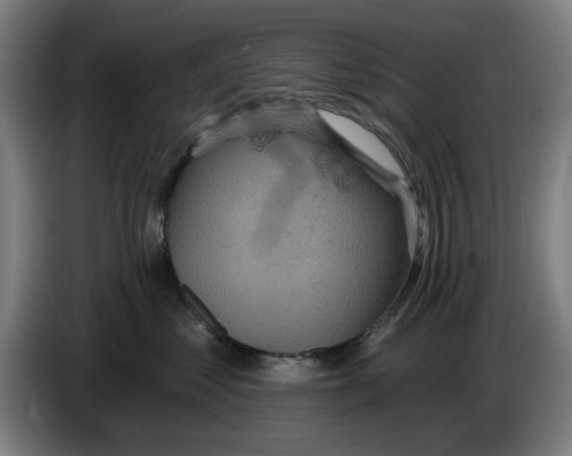 X0000085260621200703301834