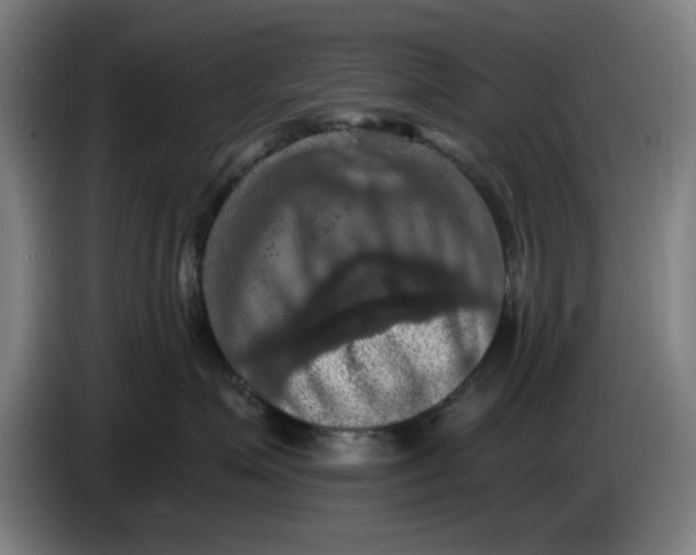 X0000085260623200703301834