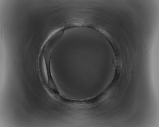 X0000085260626200703301833