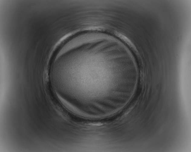 X0000085260628200703301833