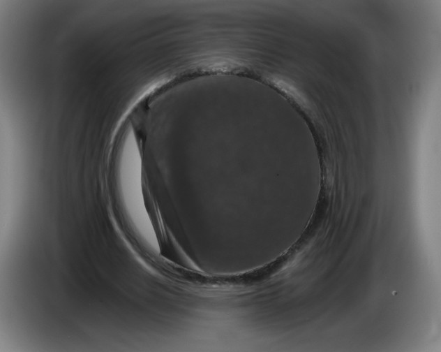 X0000085260630200703301833