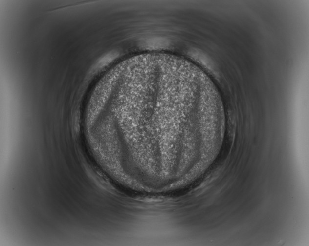 X0000085260631200703301833