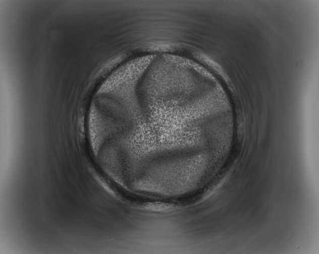 X0000085260633200703301833