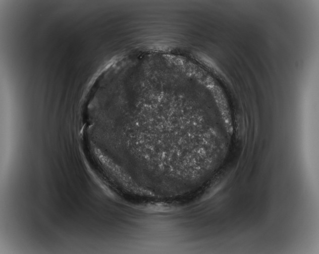 X0000085260634200703301833