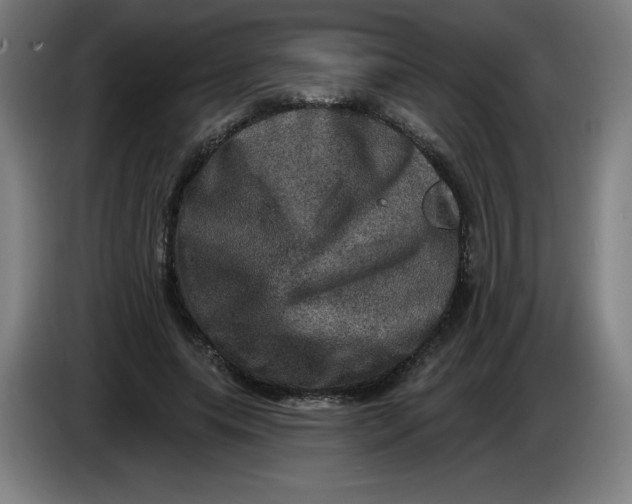 X0000085260639200703301833