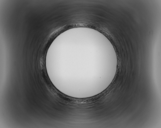 X0000085260640200703301833