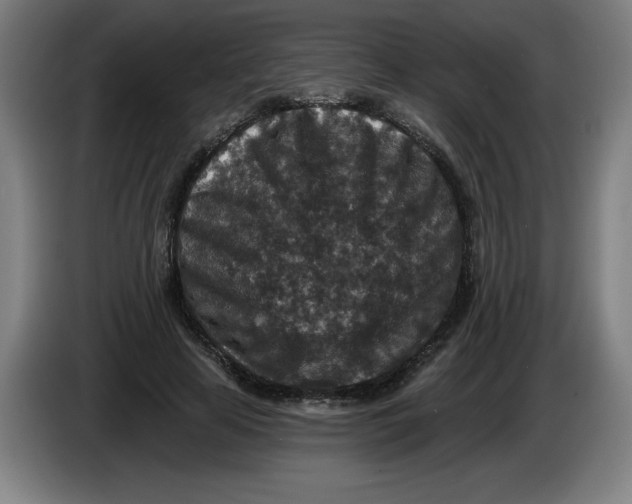 X0000085260641200703301833