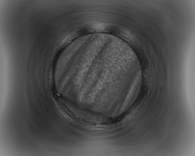 X0000085260642200703301833