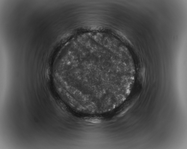 X0000085260643200703301833