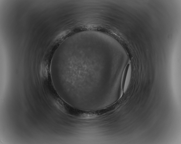 X0000085260644200703301833